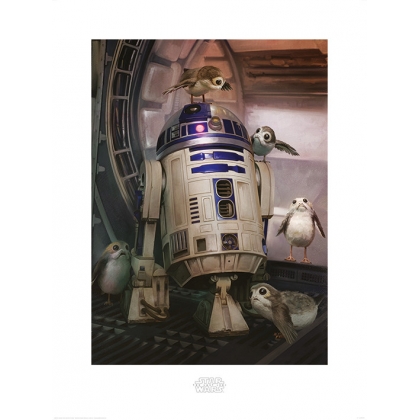 Posters Obraz, Reprodukce - Star Wars: Poslední z Jediů - R2-D2 & Porgs, (60 x 80 cm)